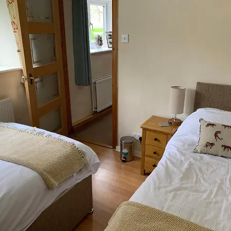 Fern * Saltburn-by-the-Sea