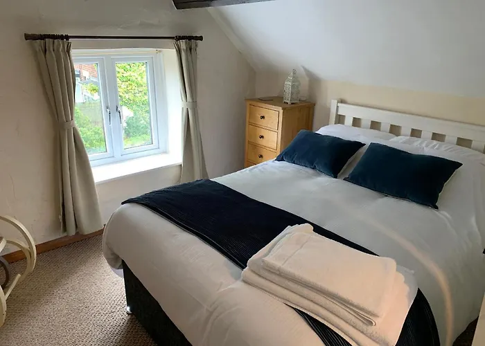 Fern * Saltburn-by-the-Sea