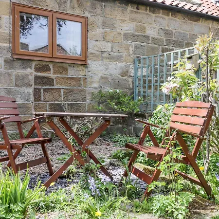 Fern * Saltburn-by-the-Sea